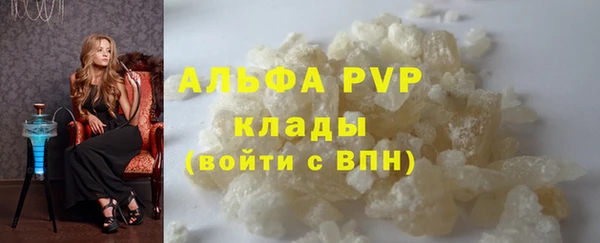 прущие грибы Вязники