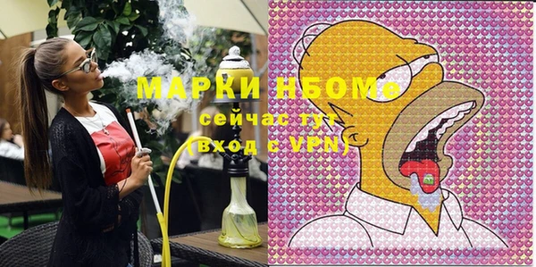 прущие грибы Вязники