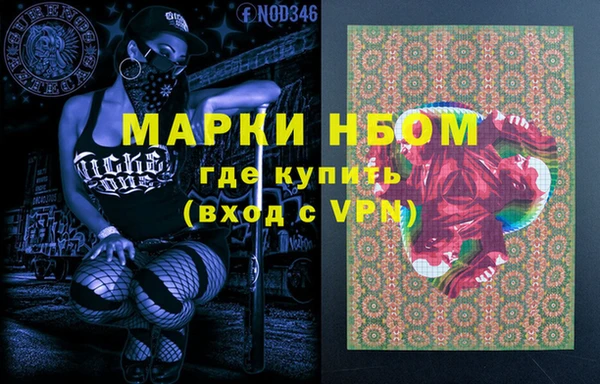 прущие грибы Вязники