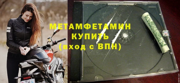 прущие грибы Вязники