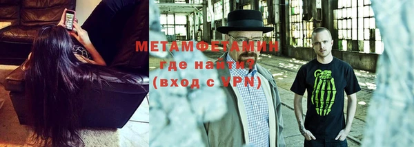 прущие грибы Вязники