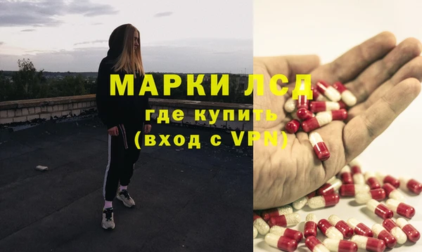 прущие грибы Вязники