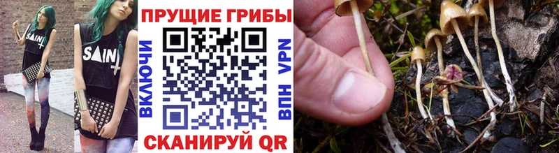 Галлюциногенные грибы Magic Shrooms blacksprut ССЫЛКА Темрюк